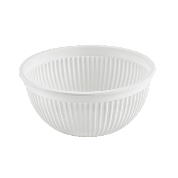 کاسه ۵۰۰ گیاهی